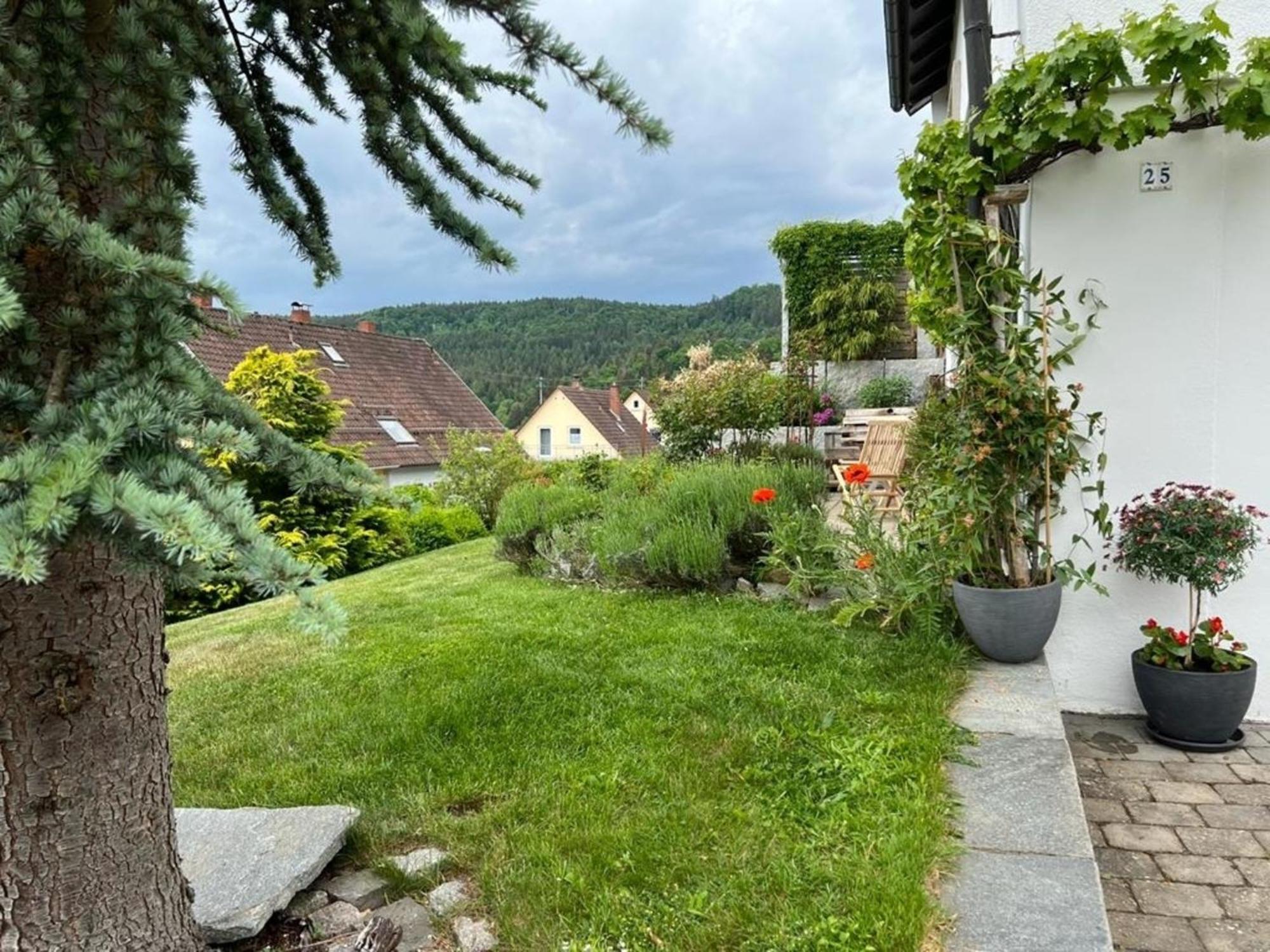 Ferienwohnung Jardin de lavande Fridingen an der Donau Exterior foto