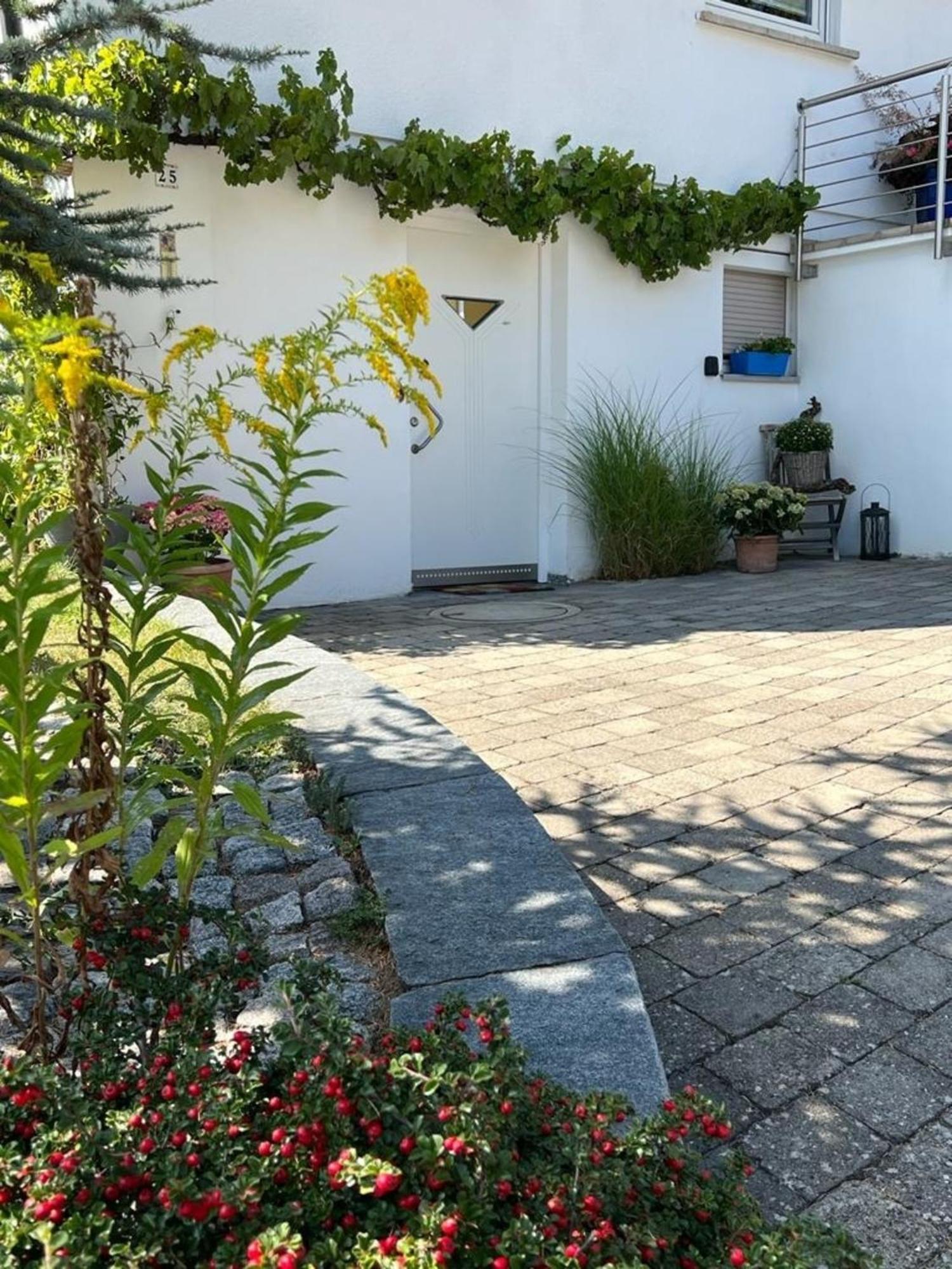 Ferienwohnung Jardin de lavande Fridingen an der Donau Exterior foto
