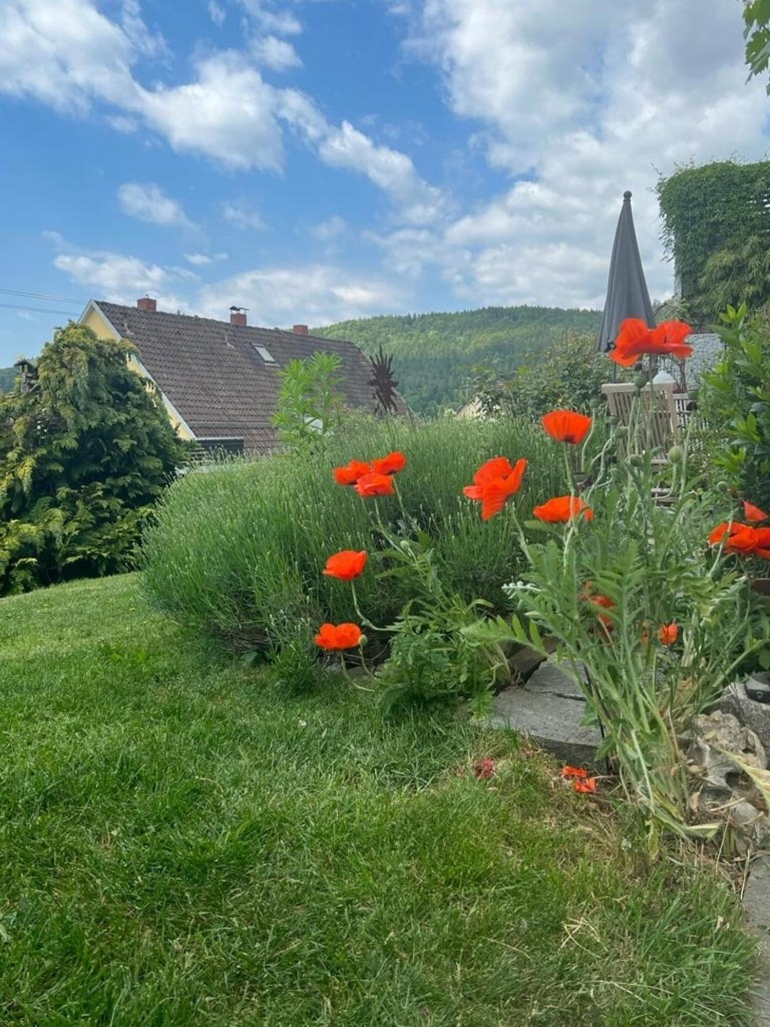 Ferienwohnung Jardin de lavande Fridingen an der Donau Exterior foto