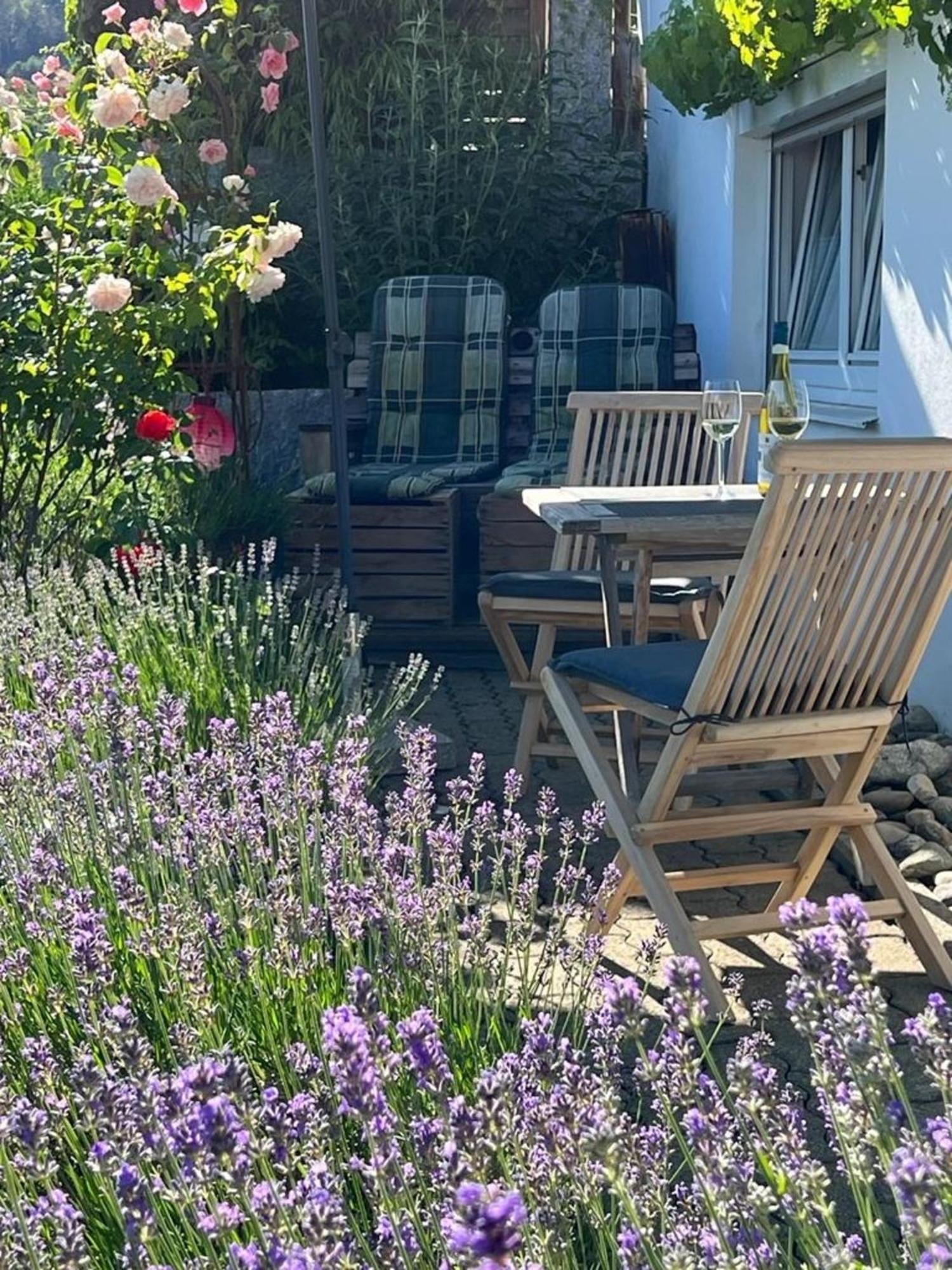 Ferienwohnung Jardin de lavande Fridingen an der Donau Exterior foto